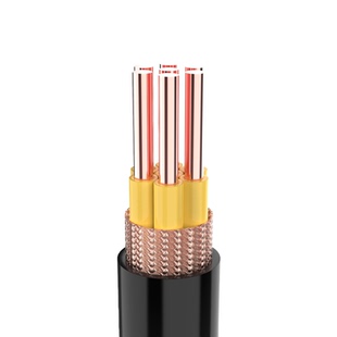 永通中策屏蔽控制电缆NH-KVVP22国标纯铜芯0.5 1 2.5 4平方护套线