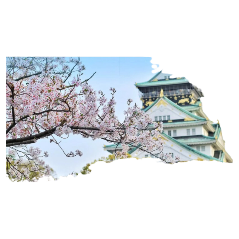 日本单次旅游签证广州送签
