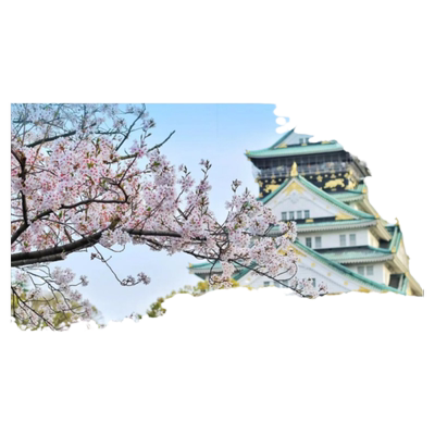 日本单次旅游签证广州送签
