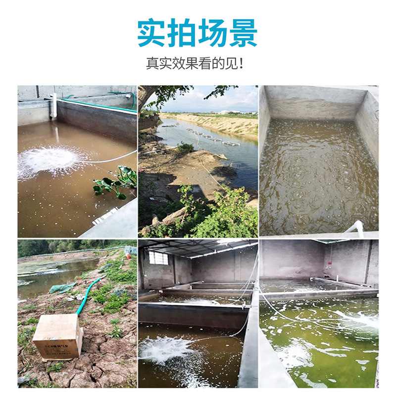 2.2KW/220V【单相】高压漩涡气泵 水产养殖鱼塘增氧机污水曝气机