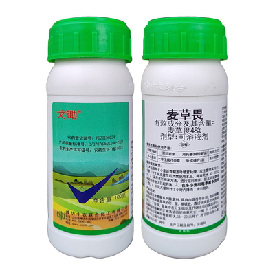 小麦苗专用不伤麦苗草畏除草剂