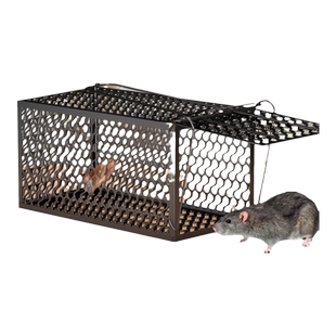 老鼠笼捕鼠器新型只进不出不锈钢家用全自动逮扑捉耗子强力一锅端