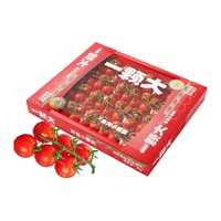 【国补7%】一颗大玲珑串樱桃番茄1kg