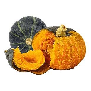 正宗绿黄贝贝小南瓜子种种子籽南瓜苗板栗春季四季蔬菜苗幼苗秧孑