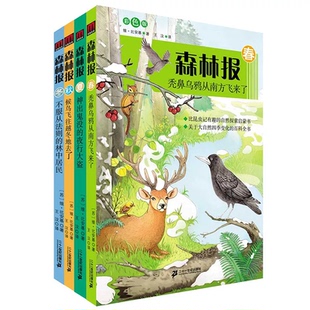 森林报春夏秋冬全四册 官方正版 森林报正版四年级下册同步课本书目小学生三年级五年级上课外阅读书籍绘本非注音经典童话故事书