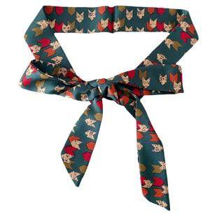 高级感小众丝巾皮带女ins风装饰时尚百搭长条丝带腰带女配牛仔裤