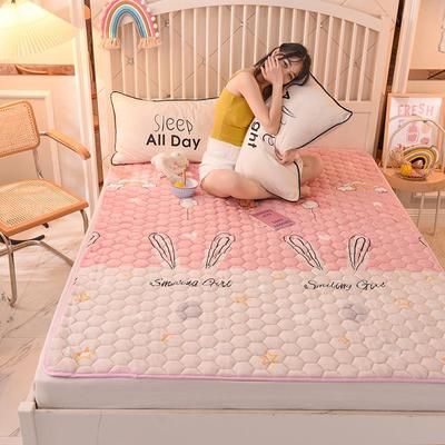 牛奶珊瑚绒床单单件冬季毛绒毛毯铺床法兰绒毯子加厚单人学生宿舍