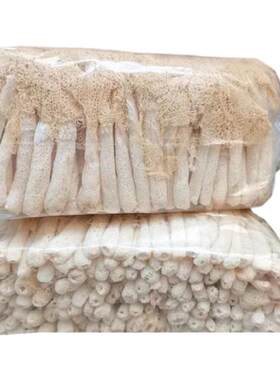 新货竹荪干货特级野生福建古田竹笙天然食用菌竹无硫 毛重500g