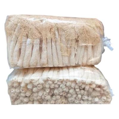 新货竹荪干货500g毛重特级野生福建古田竹笙新鲜天然食用菌竹无硫
