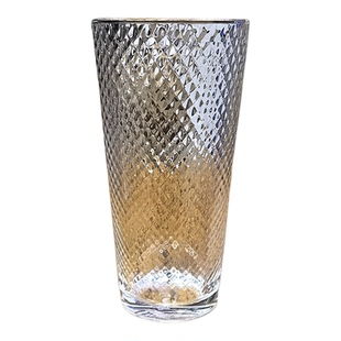 ROUPA罗派大容量玻璃杯水杯果汁杯啤酒杯锤纹杯柠檬杯冷饮杯500ml