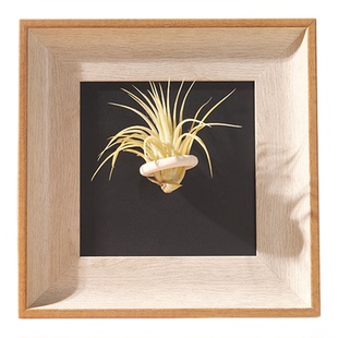 空气凤梨中古高级感磁吸相框空框摆台支架正方形diy定做装饰画框