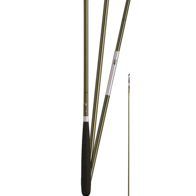 达亿瓦HERAV并继鲫鱼竿