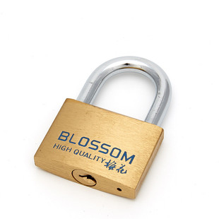 梅花锁防盗纯铜挂锁防水防锈长梁短梁挂锁家用学生抽屉柜子小锁头