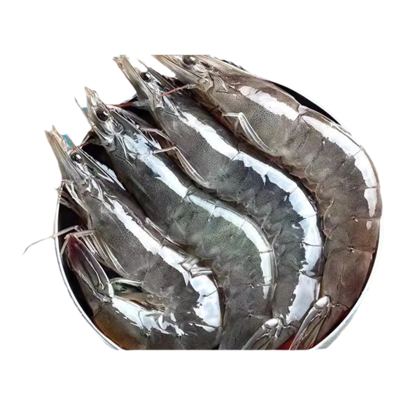 大虾海捕鲜活速冻新鲜盐冻大虾