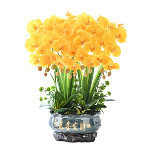 假花蝴蝶兰酒店大堂装饰花公司前台花艺客厅仿真花店铺大型摆件花