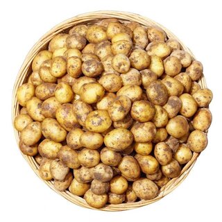 甘肃2026定西新鲜现挖高山土豆蔬菜沙面洋芋马铃薯农家黄皮直发