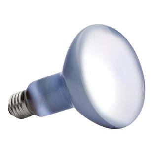 SuperRep爬虫UVA加热日灯夜灯聚光灯陆龟蜥蜴爬宠箱保温乌龟晒背