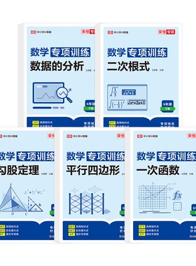 2026版八年级数学专项训练人教版