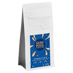 GEE咖啡寻豆师巴拿马翡翠庄园帕卡马拉日晒精品单品黑咖啡豆100克