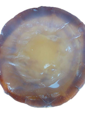 宁波象山5A三矾海蜇皮500g野生非即食凉拌菜红绵特级海蜇头提干货