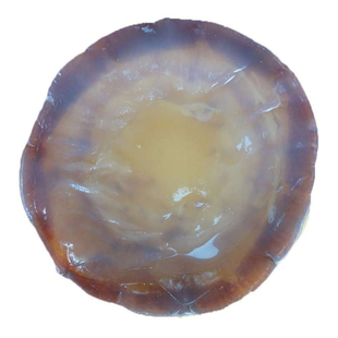 宁波象山5A三矾海蜇皮500g野生非即食凉拌菜红绵特级海蜇头提干货