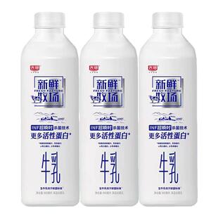 光明新鲜牧场纯牛奶900ml/瓶低温活性蛋白儿童孕妇营养早餐牛奶