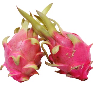 批发越南进口白心火龙果5/9斤新鲜应季白肉高端稀有水果整箱大果