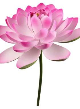 盈盈芙蓉语手持仿真荷花舞蹈道具