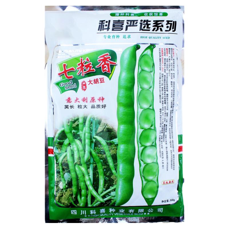七粒香大蚕豆种籽胡豆种子