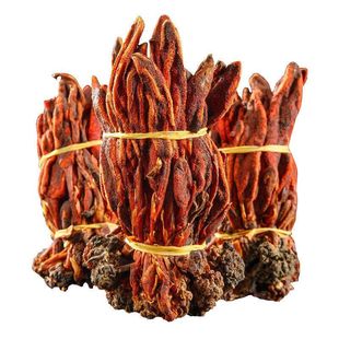 回春草云南深山回春草新货不老草顶天柱泡水泡酒男性滋补250g500g