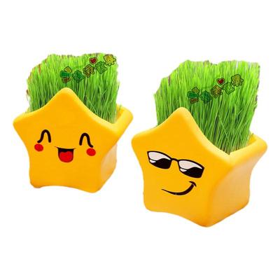包发芽桌面种草养草头娃娃