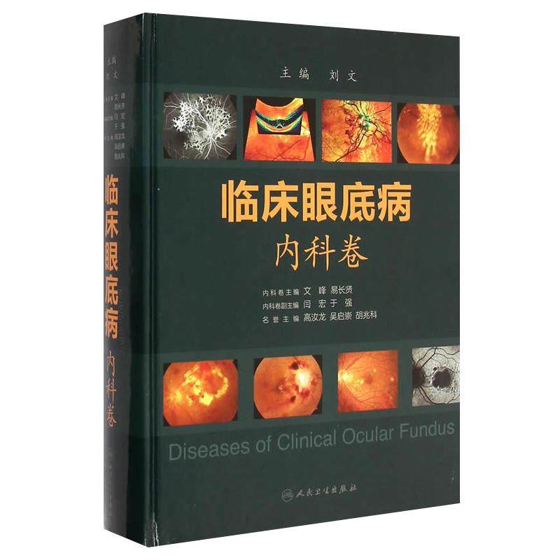临床眼底病.内科卷9787117202008