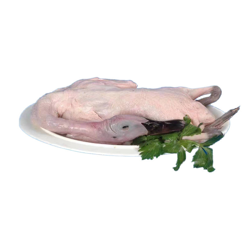 农家散养特色黑嘴麻鸭黑脚鸭水鸭土鸭肉新鲜冷冻生鲜食材顺丰包邮