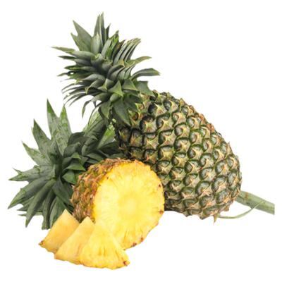 海南金钻凤梨净重当季香水菠萝