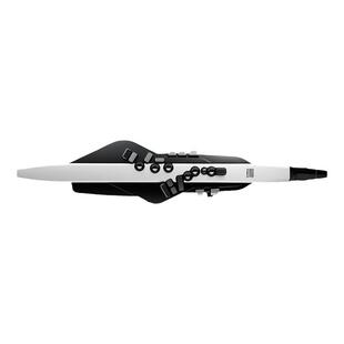 翻新品(B级品)Roland罗兰 AE-20电吹管Aerophone电萨克斯电子吹管