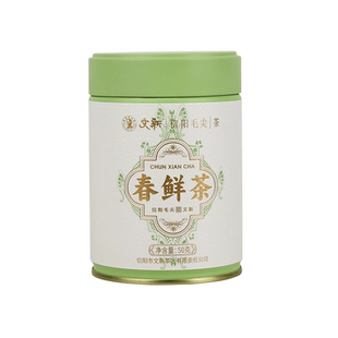 【独家惊喜盒】文新信阳毛尖绿茶茶叶2026新茶明前春鲜茶50g*2罐