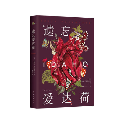 新经典图书遗忘爱达荷