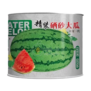特大西瓜种籽懒汉巨型西瓜种子美都麒麟西瓜苗黑皮西瓜种子大全籽