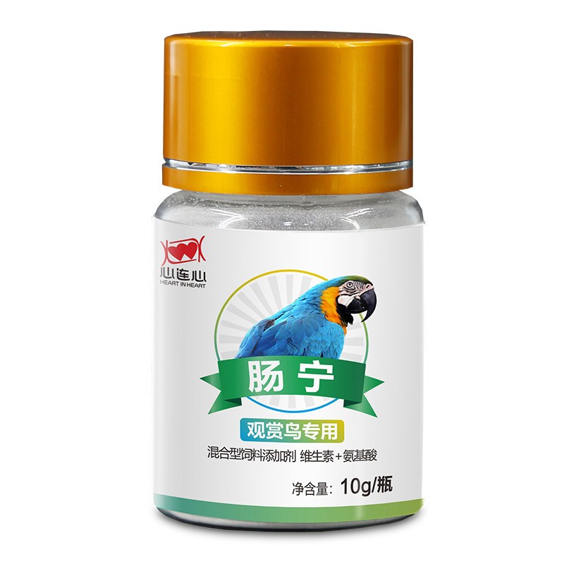 鹦鹉调理保健肠道绿便心连心