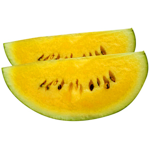 安妮西瓜种子早熟黄壤肉小西瓜种籽孑高产早熟南方四季绿皮黄瓤