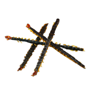 蜈蚣干中药材静萱正品红头蜈蚣虫整条蜈蚣干蜈蚣粉另售全蝎子水蛭