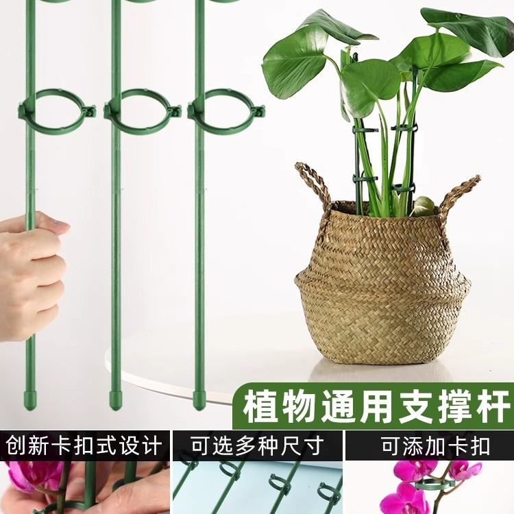 植物支撑杆花支撑架龟背竹花架月季园艺花卉支架固定防倒伏花架子