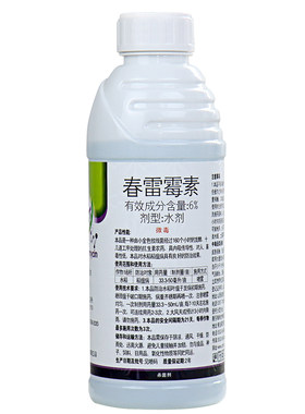 细菌病害角斑病溃疡病稻瘟病