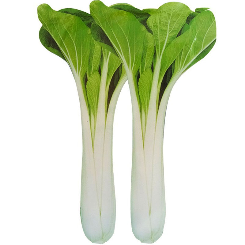高梗白小白菜种子腌制晒阳台水培高梗小白菜速生耐寒耐热蔬菜种子