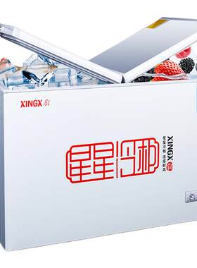 双温家用小型冰柜星星卧式