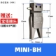 MINI-BH