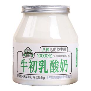 【活动专属】老马草原内蒙风味牛初乳酸奶1kg*2桶发酵凝固型酸奶