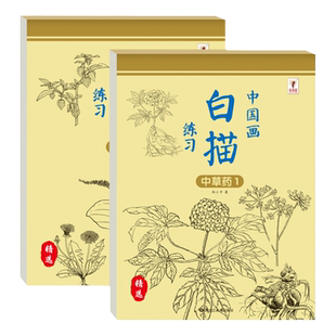 中国画白描入门篇 国画临摹画册 线描画册 临摹 手绘描摹本绘画本