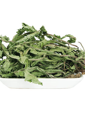 野生蒲公英茶中药材整颗婆婆丁