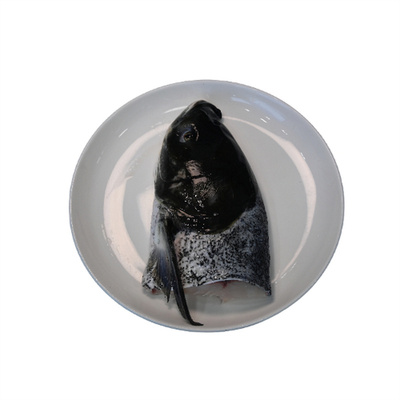 鲜活鱼头正宗千岛湖活鱼花鲢现杀